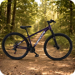 bike absolute roxa